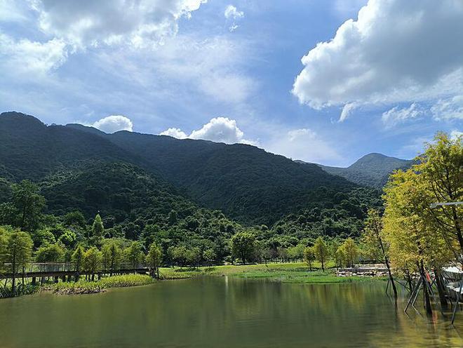 钟南山院士88岁高龄再发声：健康之重，医者之任